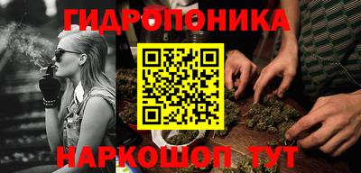 шишки Ангарск