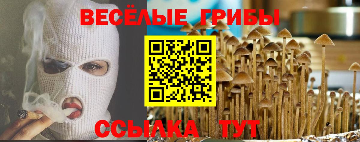 Псилоцибиновые грибы ЛСД  Вход с VPN  Воткинск  Псилоцибиновые грибы ЛСД 